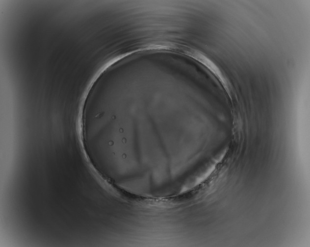 X0000094220811200711161847