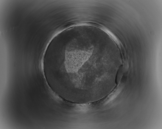 X0000094220813200711161847