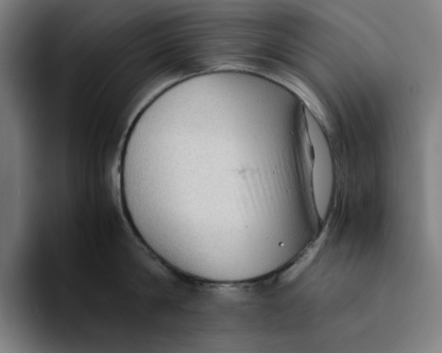 X0000094220814200711161847