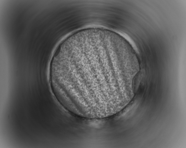 X0000094220815200711161847