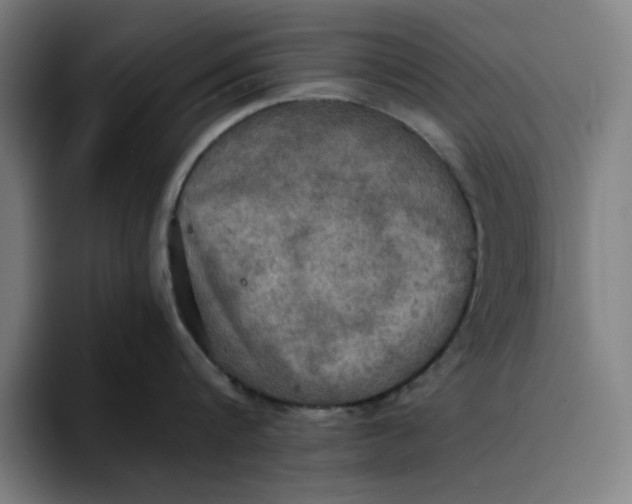 X0000094220816200711161847