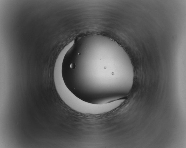 X0000094220818200711161847