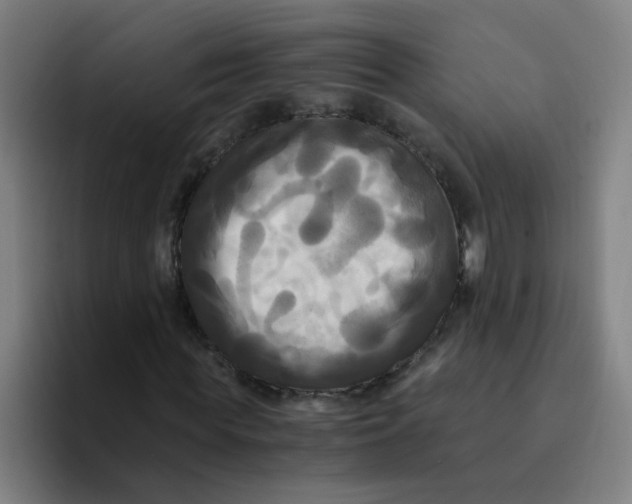 X0000094220819200711161847