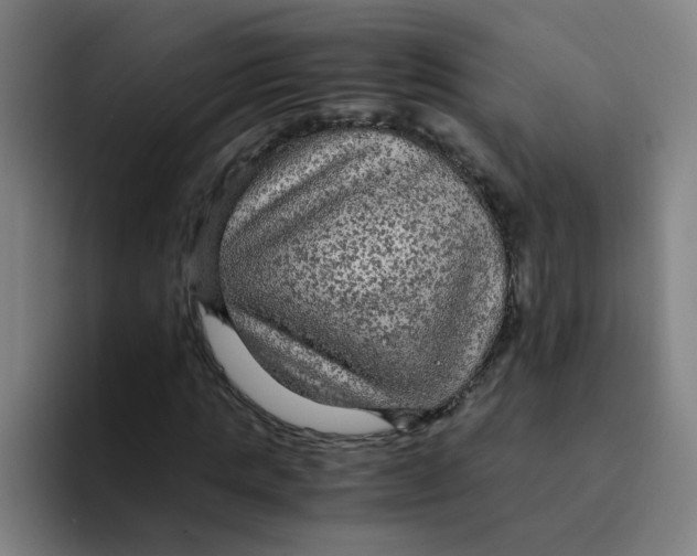 X0000094220821200711161847