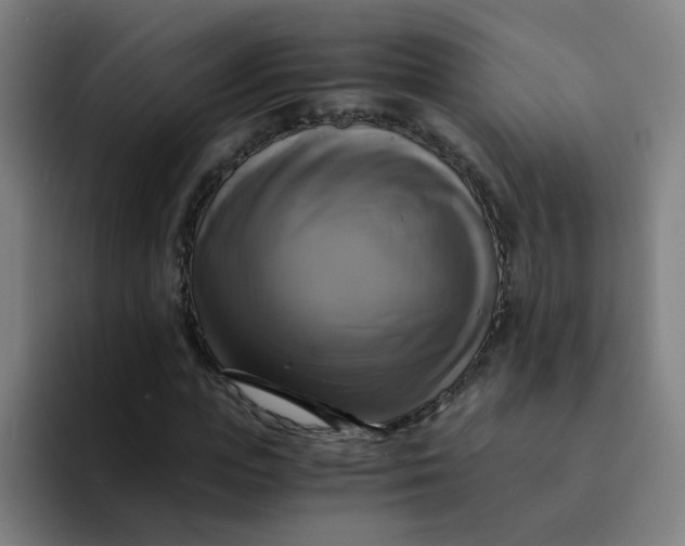 X0000094220823200711161847