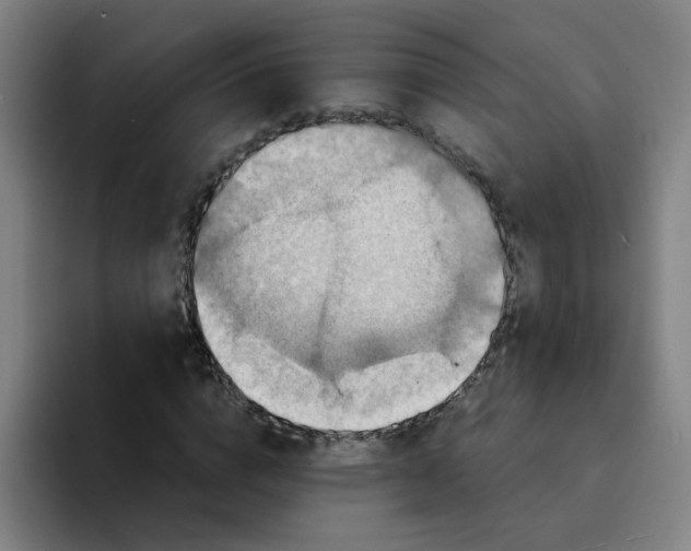 X0000094220824200711161847