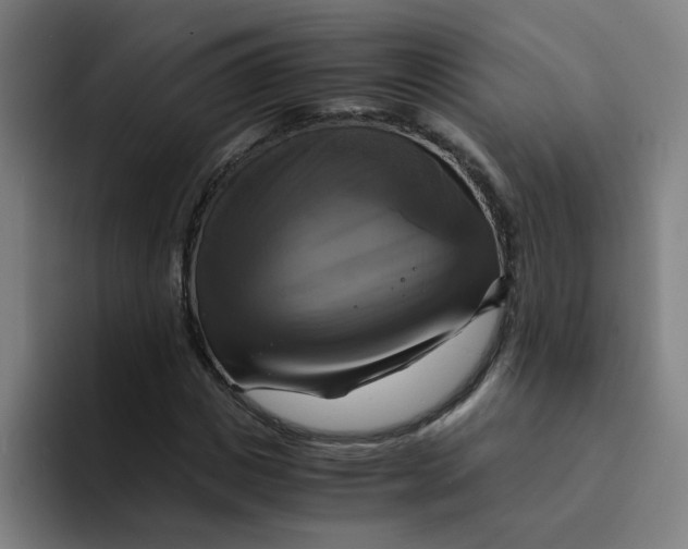 X0000094220825200711161847