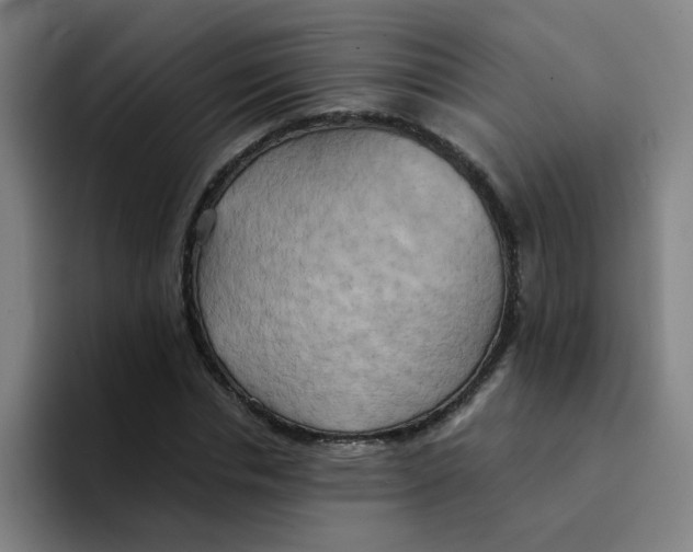 X0000094220826200711161847