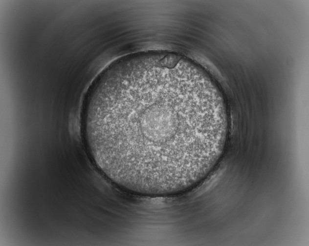 X0000094220828200711161847