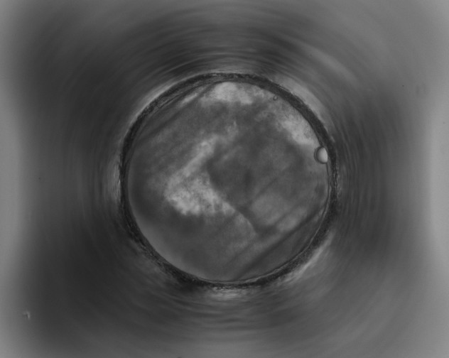 X0000094220829200711161847