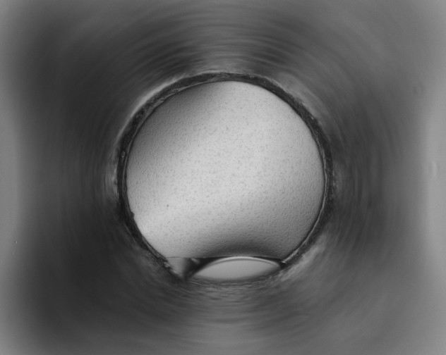 X0000094220830200711161847