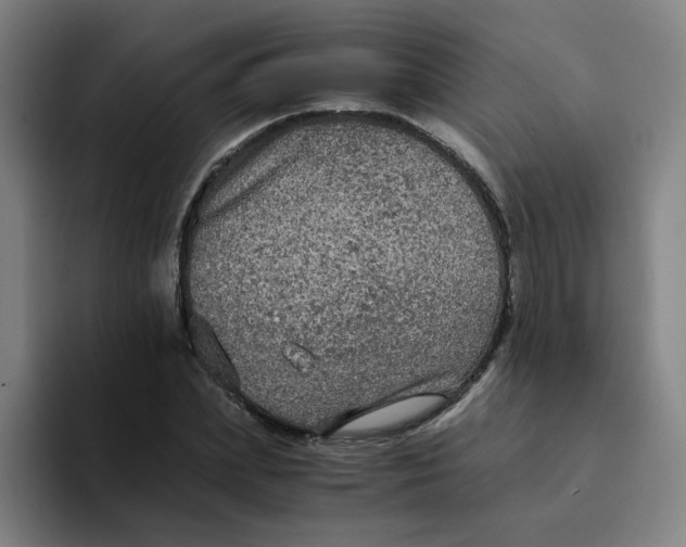 X0000094220831200711161847