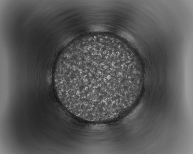 X0000094220833200711161847