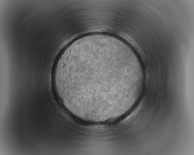 X0000094220834200711161847