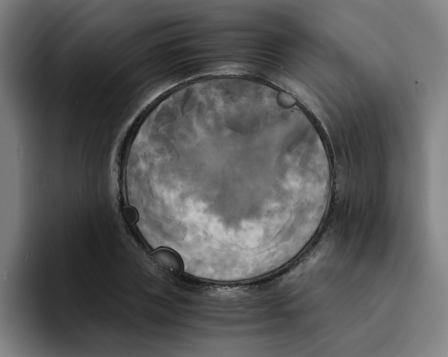 X0000094220835200711161847