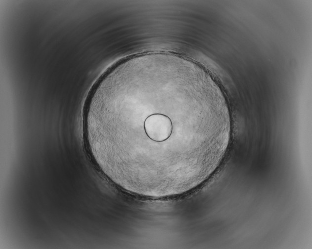 X0000094220836200711161847