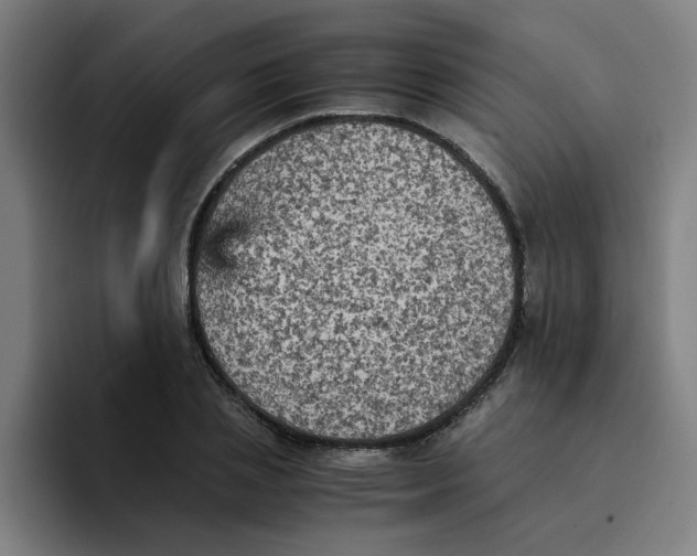 X0000094220837200711161847