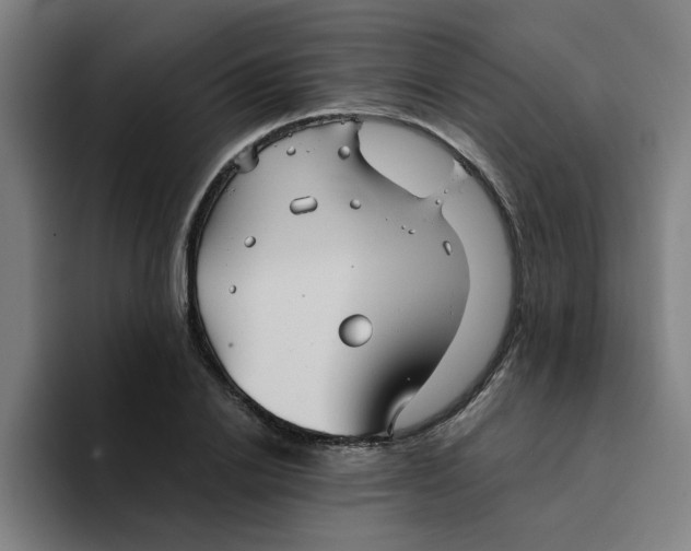 X0000094220838200711161847