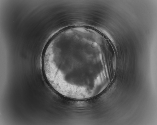 X0000094220839200711161847