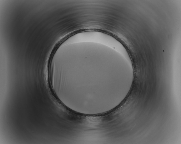 X0000094220840200711161847