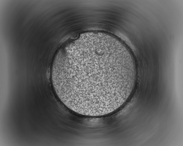 X0000094220841200711161847