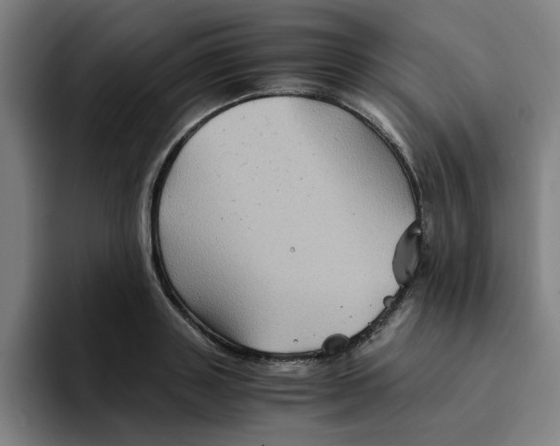 X0000094220843200711161847