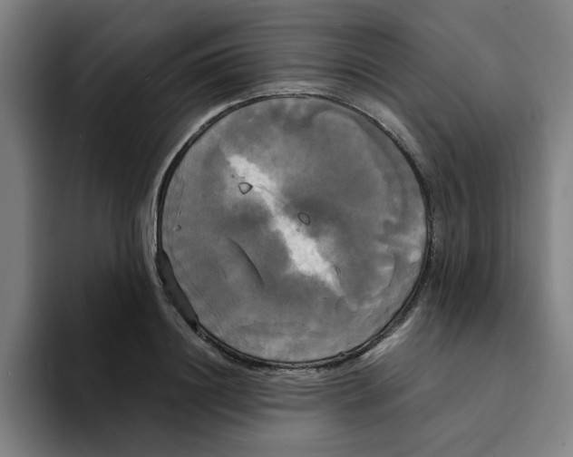 X0000094220844200711161847