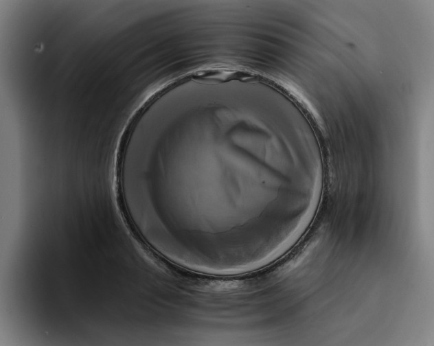 X0000094220845200711161847