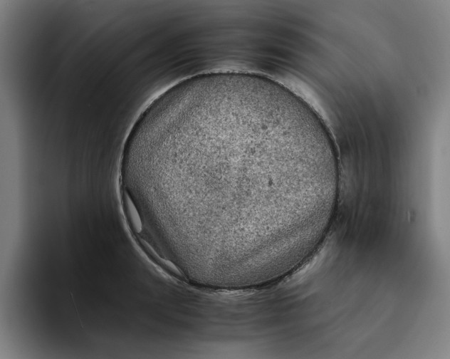 X0000094220847200711161847