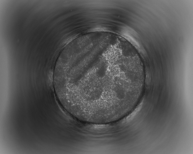 X0000094220849200711161847