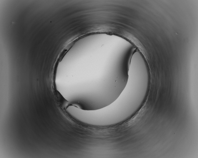 X0000094220850200711161847