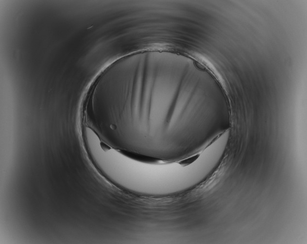 X0000094220851200711161847