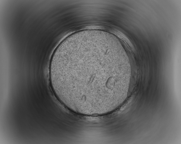 X0000094220852200711161847