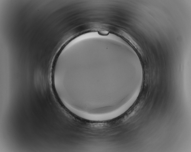 X0000094220853200711161847