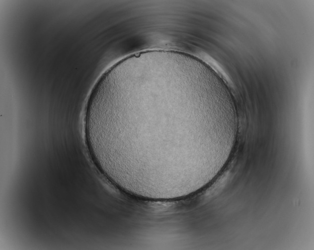 X0000094220854200711161847