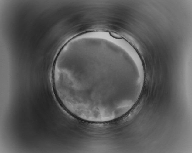 X0000094220855200711161847