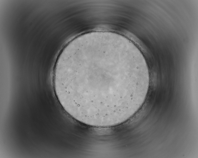 X0000094220856200711161847