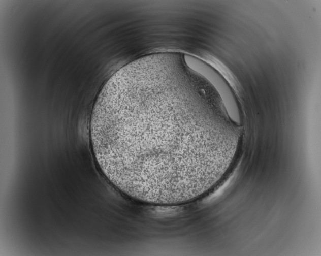 X0000094220857200711161847