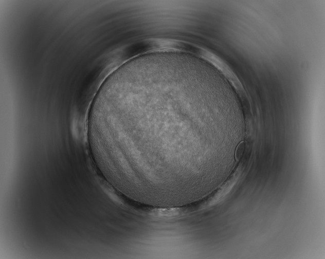 X0000094220858200711161847