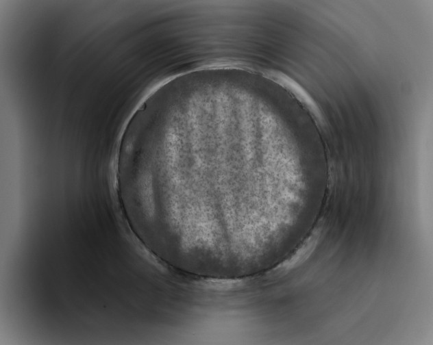 X0000094220860200711161847