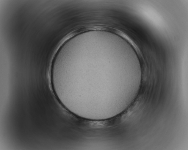 X0000094220861200711161847