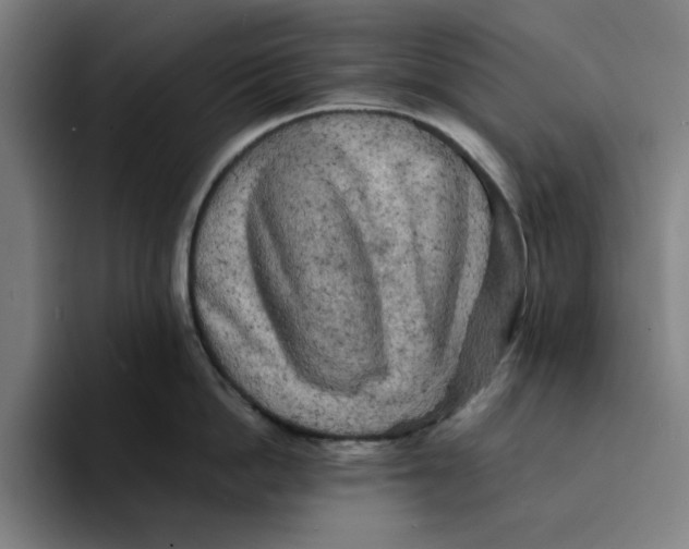 X0000094220862200711161847