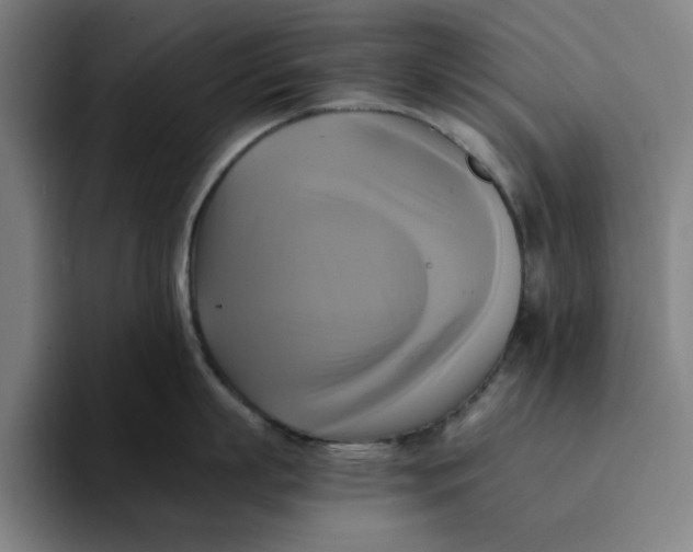 X0000094220863200711161847