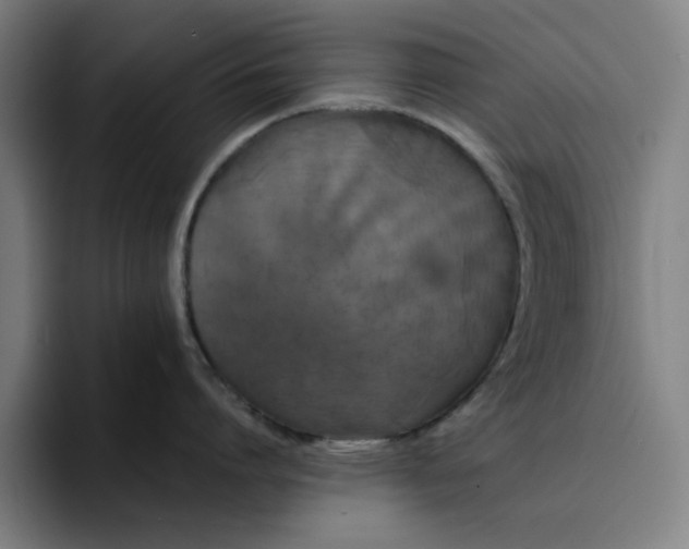 X0000094220864200711161847