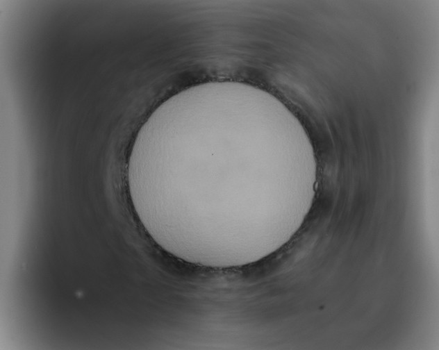 X0000094220865200711161847