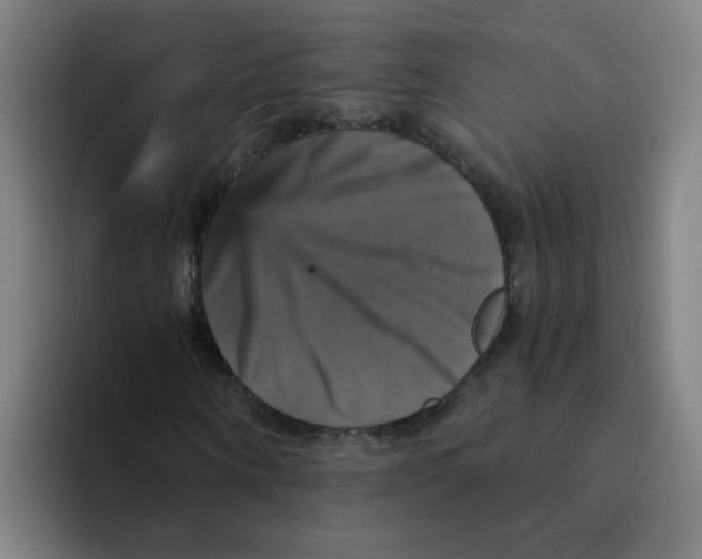 X0000094220866200711161847