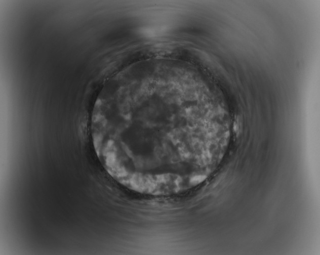 X0000094220867200711161847