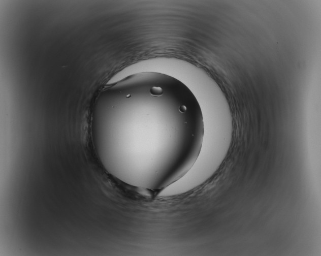 X0000094220868200711161847