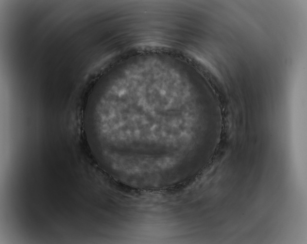 X0000094220870200711161847