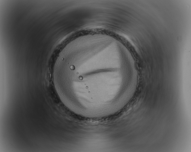 X0000094220871200711161847